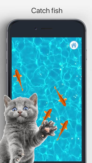 tablet spiele für katzen kostenlos